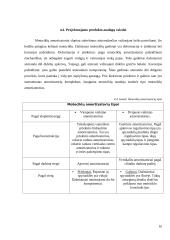 UAB amortizacijos perdarinėjimas „Em Suspension“ 10 puslapis