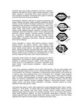 Vaikų burnos higiena 4 puslapis