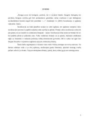 Vaikų socialinė - pedagoginė situacija 3 puslapis