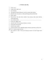 Vaikų socialinė - pedagoginė situacija 4 puslapis