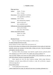 Vaikų socialinė - pedagoginė situacija 6 puslapis