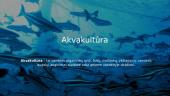Akvakultūra ir žvejyba 3 puslapis