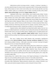 Vakarų kalbų naujieji skoliniai ir jų keliami iššūkiai 2 puslapis