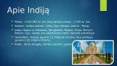 Išsamiai apie Indiją 2 puslapis