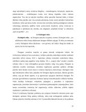 Valdymas ir ekologinė etika 19 puslapis