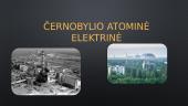 Černobylio atominė elektrinė