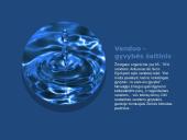 Vandens tarša skaidrės 2 puslapis