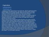 Vandens tarša skaidrės 3 puslapis