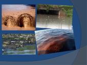 Vandens tarša skaidrės 6 puslapis