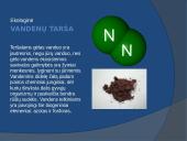 Vandens tarša skaidrės 7 puslapis