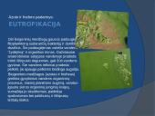 Vandens tarša skaidrės 8 puslapis