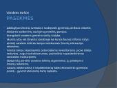 Vandens tarša skaidrės 9 puslapis