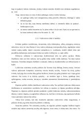 Penki valdymo procesai 13 puslapis