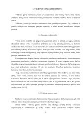 Penki valdymo procesai 4 puslapis