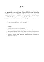 Mitybos planas ir jo analizė 3 puslapis