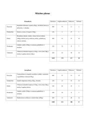 Mitybos planas ir jo analizė 4 puslapis
