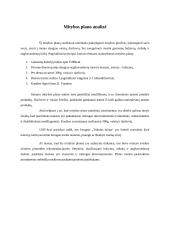 Mitybos planas ir jo analizė 7 puslapis