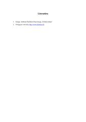 Mitybos planas ir jo analizė 9 puslapis