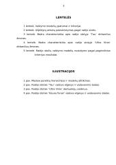 Valdymo modeliai 2 puslapis