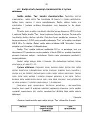 Valdymo modeliai 19 puslapis