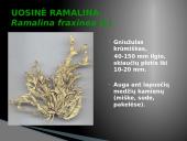 Oro bei atmosferos tarša 11 puslapis