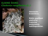 Oro bei atmosferos tarša 12 puslapis