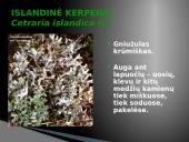 Oro bei atmosferos tarša 13 puslapis