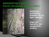 Oro bei atmosferos tarša 14 puslapis