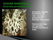 Oro bei atmosferos tarša 15 puslapis