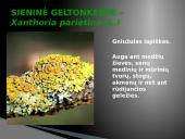 Oro bei atmosferos tarša 16 puslapis