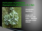 Oro bei atmosferos tarša 17 puslapis