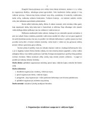 Valdymo struktūra 2 puslapis