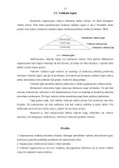 Valdymo struktūra 11 puslapis