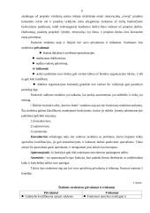 Valdymo struktūra 5 puslapis