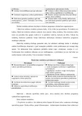 Valdymo struktūra 6 puslapis