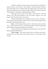 Valdymo struktūra ir veiklos motyvacija: "SEB bankas" 15 puslapis