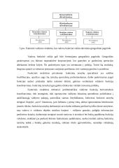 Valdymo struktūra ir veiklos motyvacija: "SEB bankas" 7 puslapis