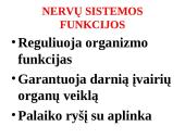 Nervų sistemos valdymas 2 puslapis