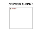 Nervų sistemos valdymas 12 puslapis