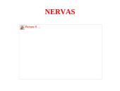 Nervų sistemos valdymas 17 puslapis