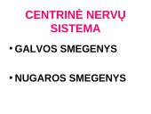 Nervų sistemos valdymas 18 puslapis