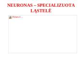 Nervų sistemos valdymas 7 puslapis