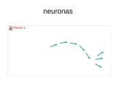 Nervų sistemos valdymas 9 puslapis
