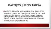 Baltijos jūros taršos šaltiniai 2 puslapis
