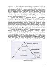 Valdymo subjektas ir objektas 2 puslapis