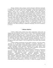 Valdymo subjektas ir objektas 3 puslapis