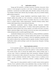 Valiutinių operacijų rūšys 13 puslapis
