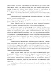 Valiutinių operacijų rūšys 14 puslapis