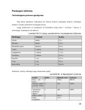 Remonto paslaugų įmonės verslo planas 18 puslapis