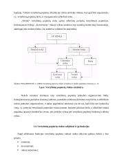 Vertybinių popierių rinka ir jos organizavimas Lietuvoje 14 puslapis